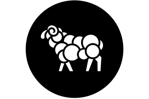 Izolacija s merino-vunom