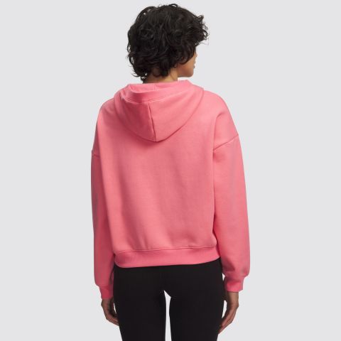 Under Armour  UA ICON FLEECE HZ HOODIE img2
