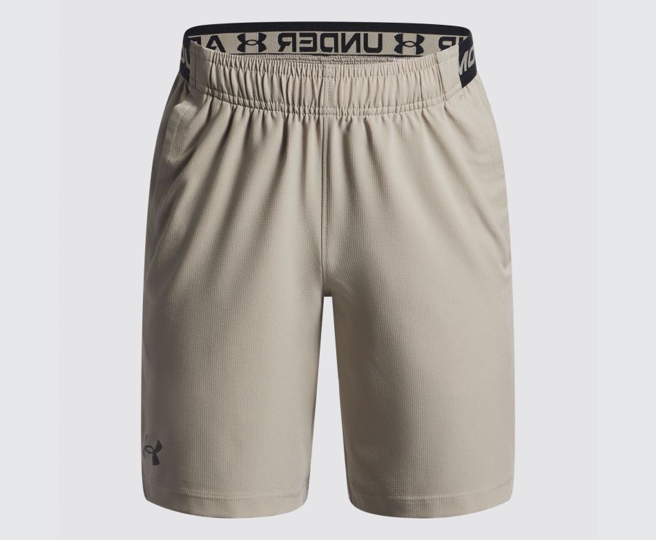 Under Armour UA VANISH SHORTS