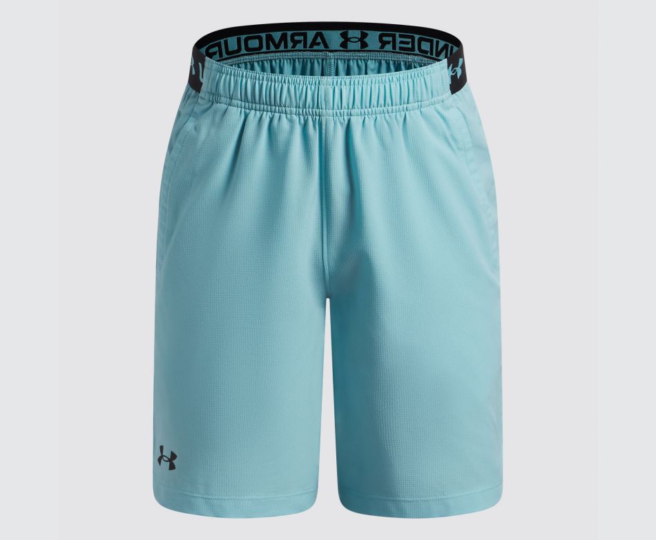 Under Armour UA VANISH SHORTS