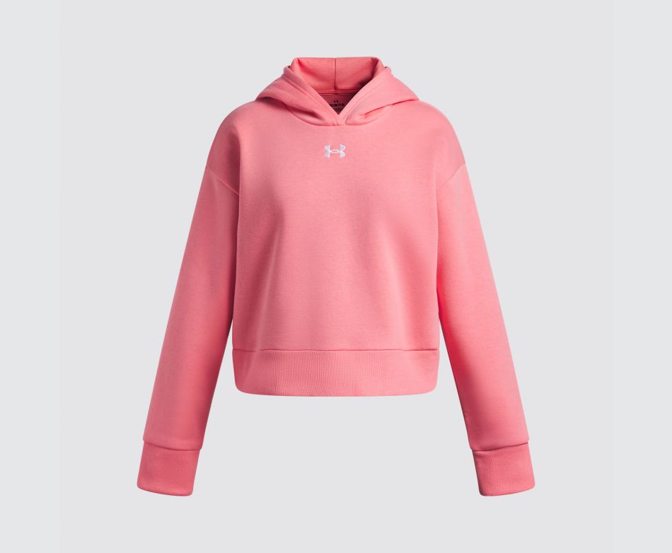 Under Armour  UA RIVAL FLEECE CROP HOODIE